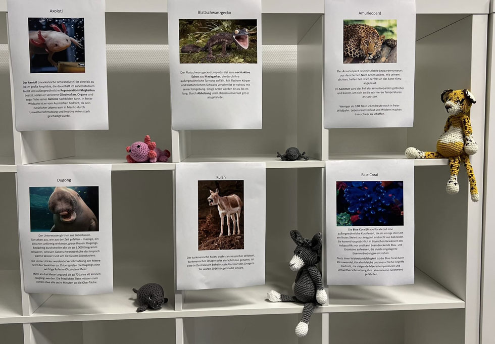 instructor Release "Zoo"