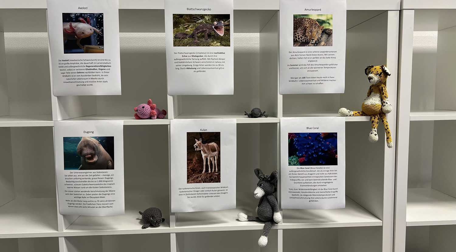 instructor Release "Zoo"